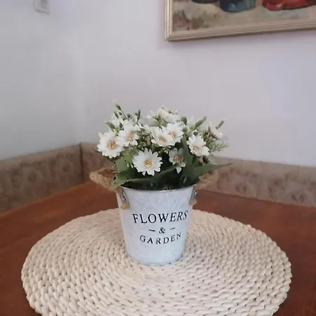 Appartamento Apartma Taja *